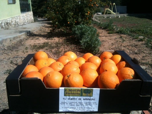 Caja 15 kg Naranja Valencia — 1,66€/kg