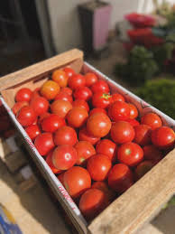 Caja 10 kg Tomate de Temporada — 1,99€/kg